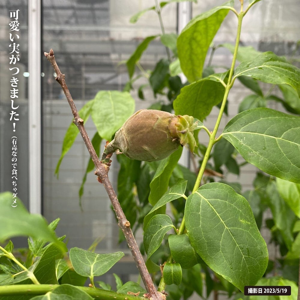 000000009955-04.jpg?size=l&w=