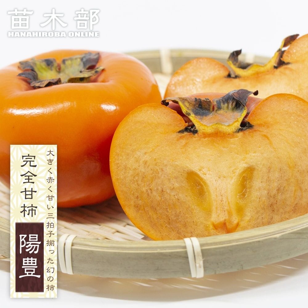 000000109960-01.jpg?size=l&w=