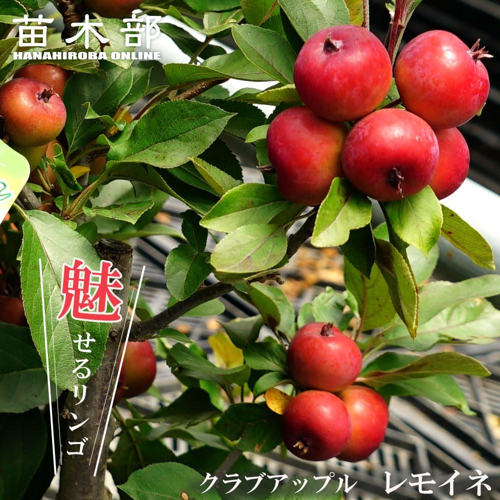 000000109965-01.jpg?size=l&w=