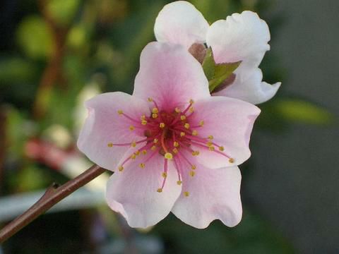 000000109972-03.jpg?size=l&w=