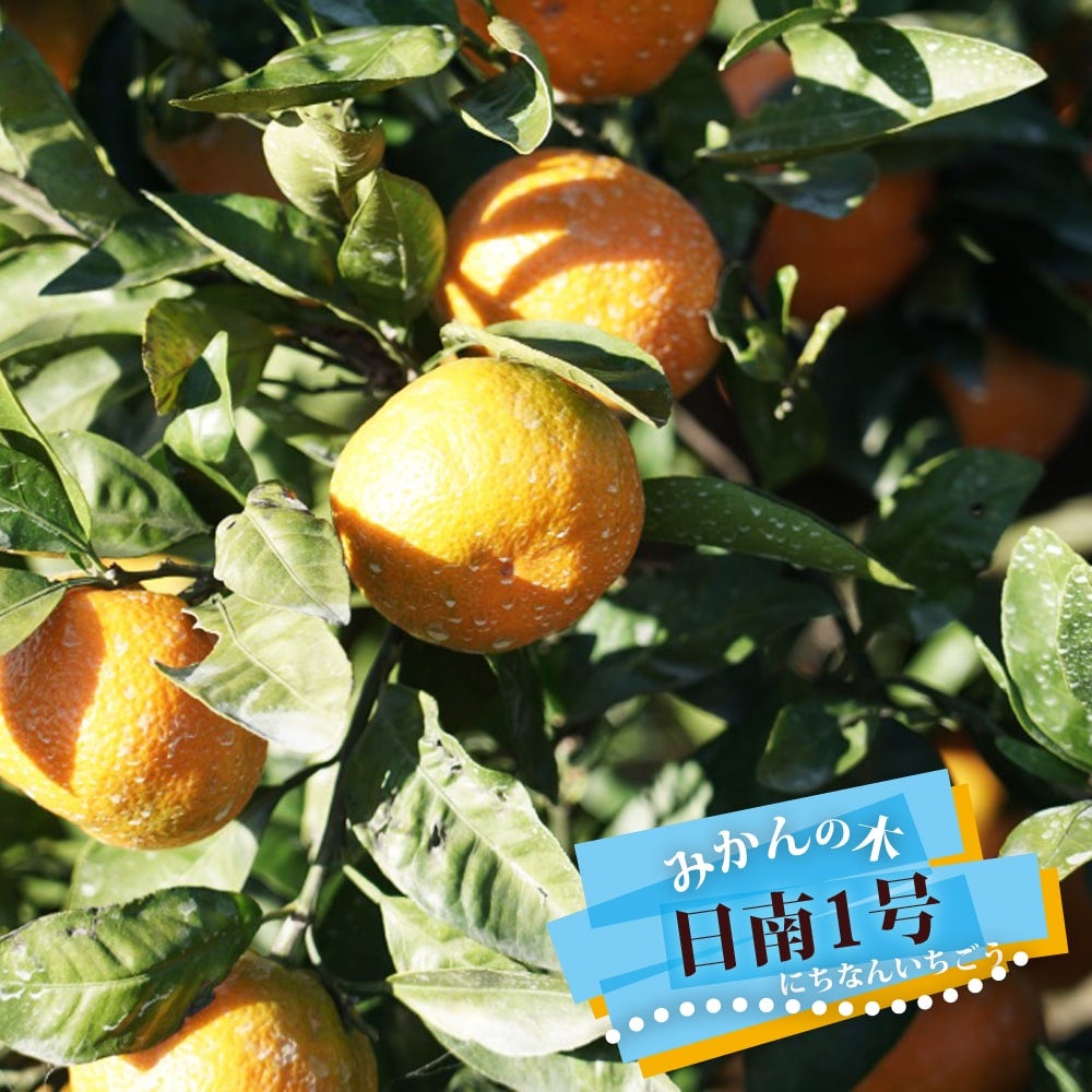 000000110497-01.jpg?size=l&w=