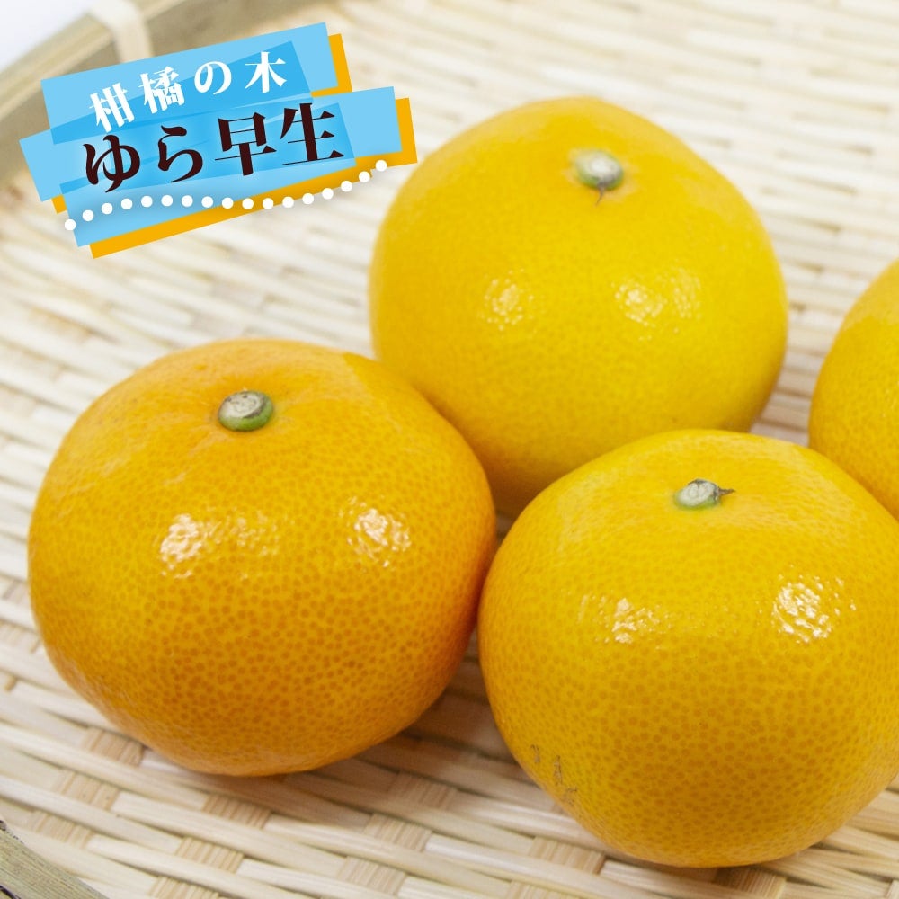 000000010614-01.jpg?size=m&w=