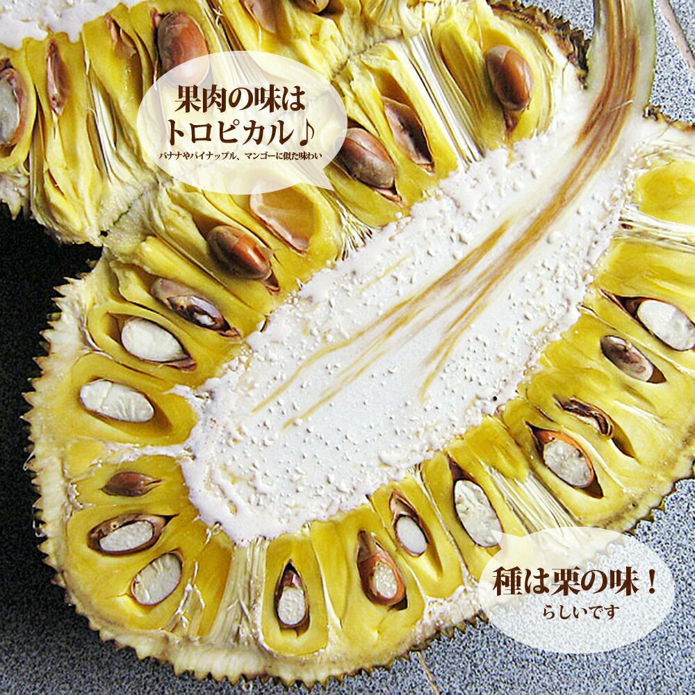 000000111179-03.jpg?size=l&w=