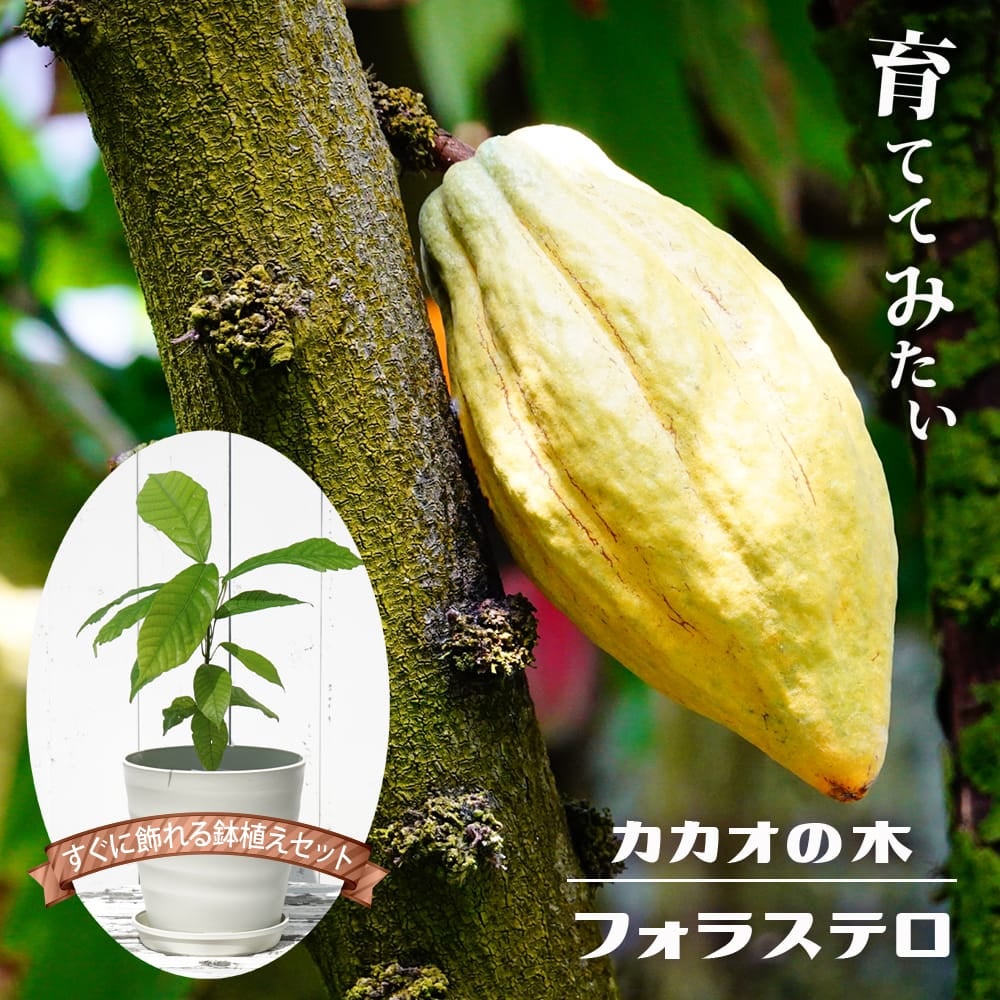 000000112476-01.jpg?size=l&w=