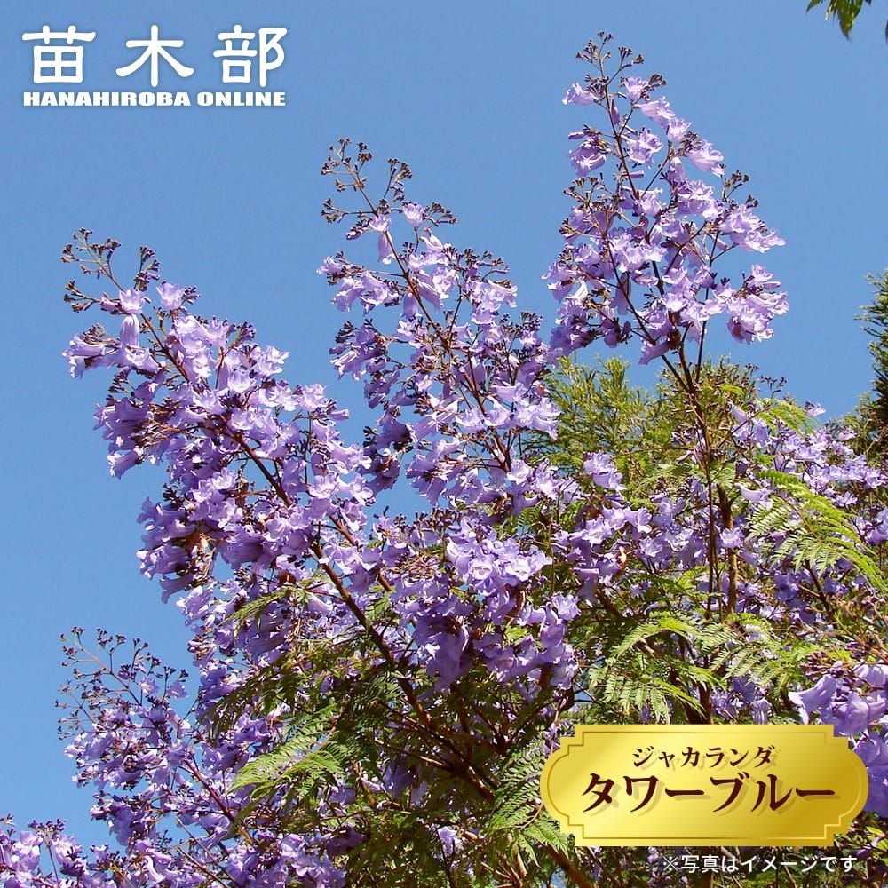 000000112728-01.jpg?size=l&w=