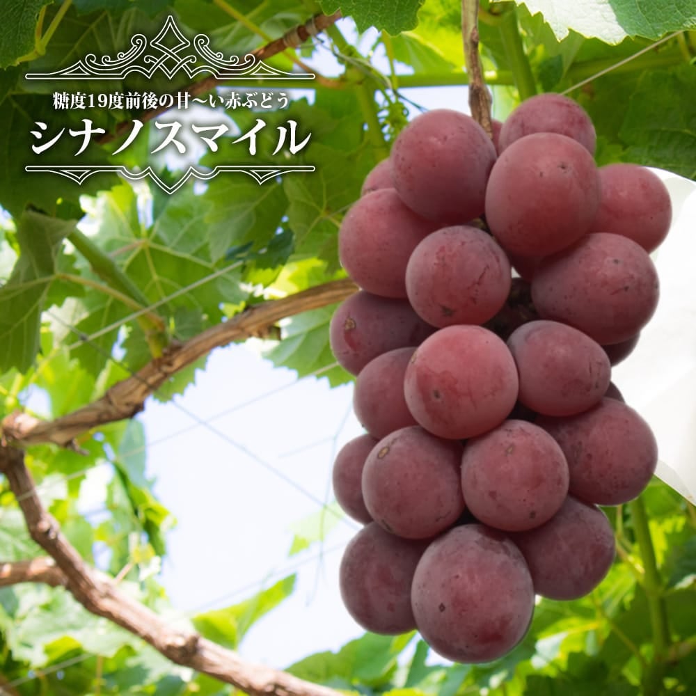 000000014025-01.jpg?size=l&w=