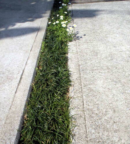 000000014180-05.jpg?size=l&w=