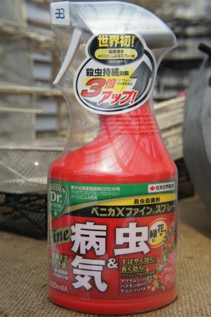 000000014667-01.jpg?size=m&w=