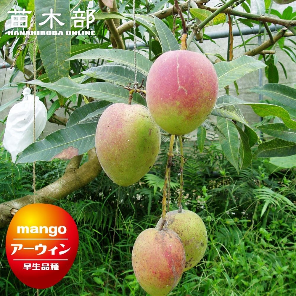 000000015324-01.jpg?size=l&w=