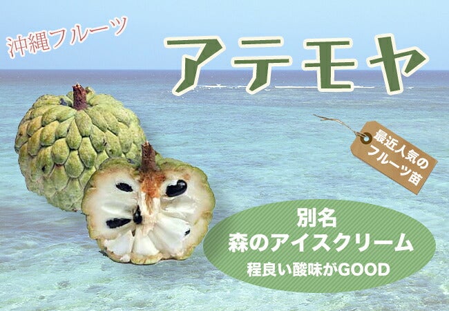 000000015327-07.jpg?size=l&w=