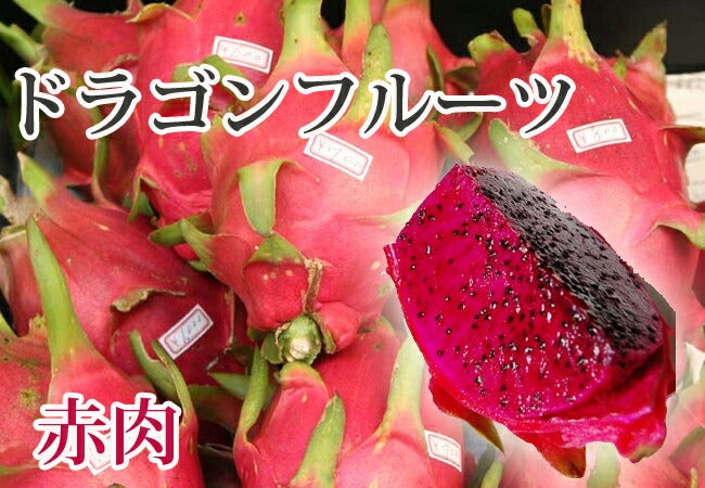 000000015334-02.jpg?size=l&w=