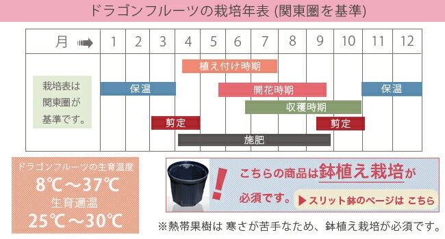 000000015335-03.jpg?size=l&w=