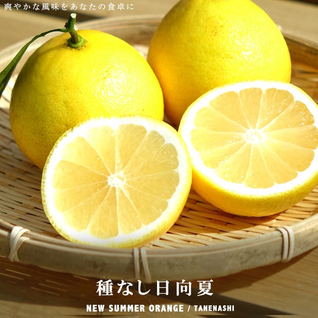 000000115448-01.jpg?size=l&w=