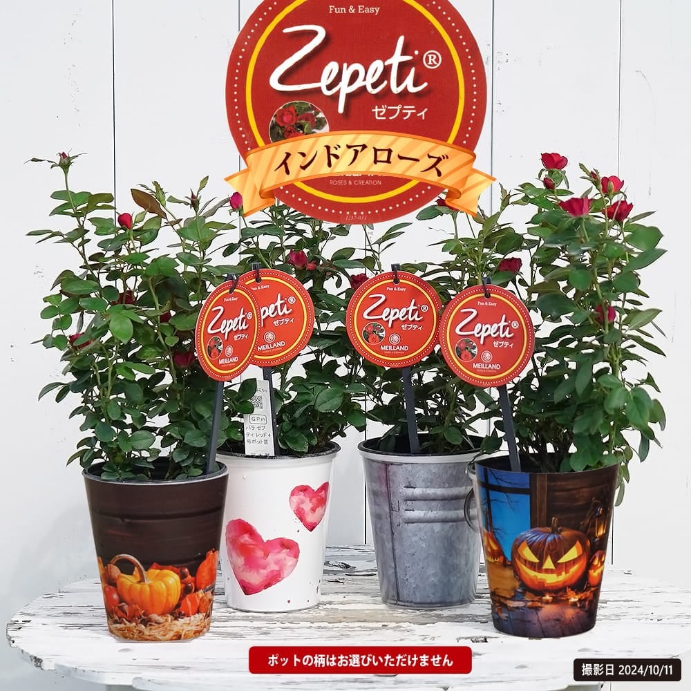 000000115472-01.jpg?size=l&w=