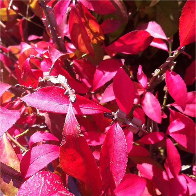 000000016007-02.jpg?size=l&w=