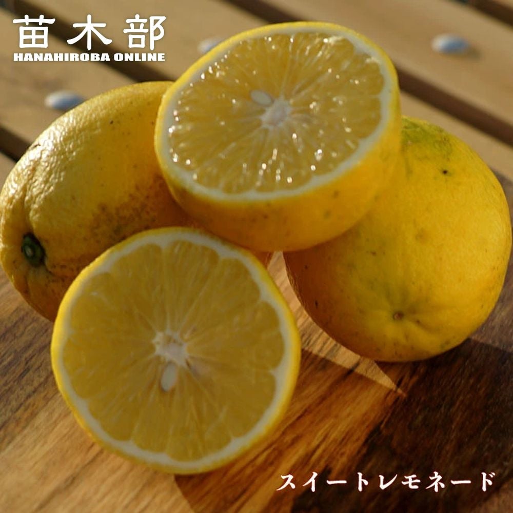 000000016950-01.jpg?size=m&w=