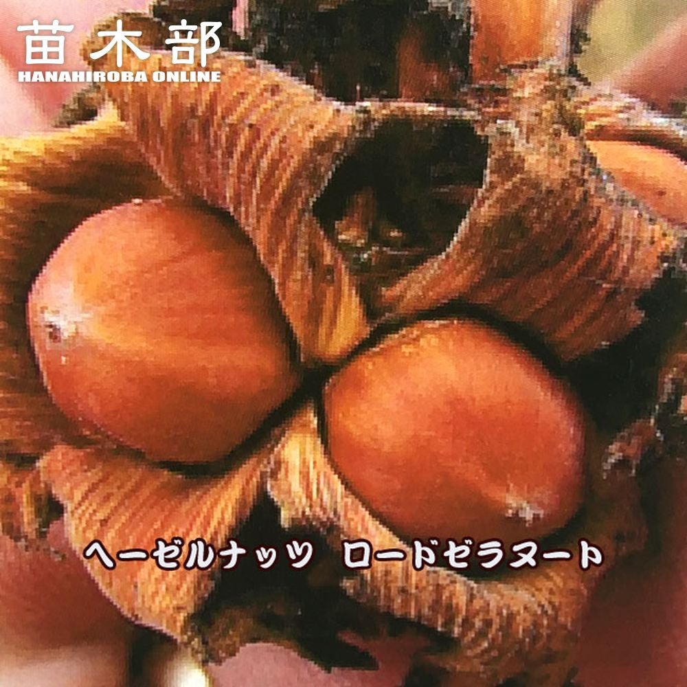 000000118243-01.jpg?size=l&w=