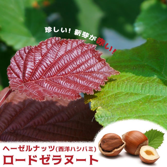 000000118243-02.jpg?size=l&w=