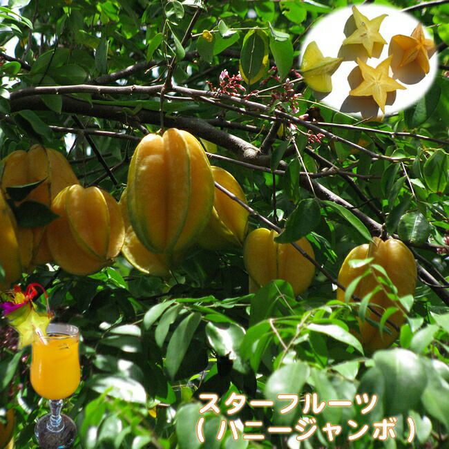 000000018411-01.jpg?size=l&w=