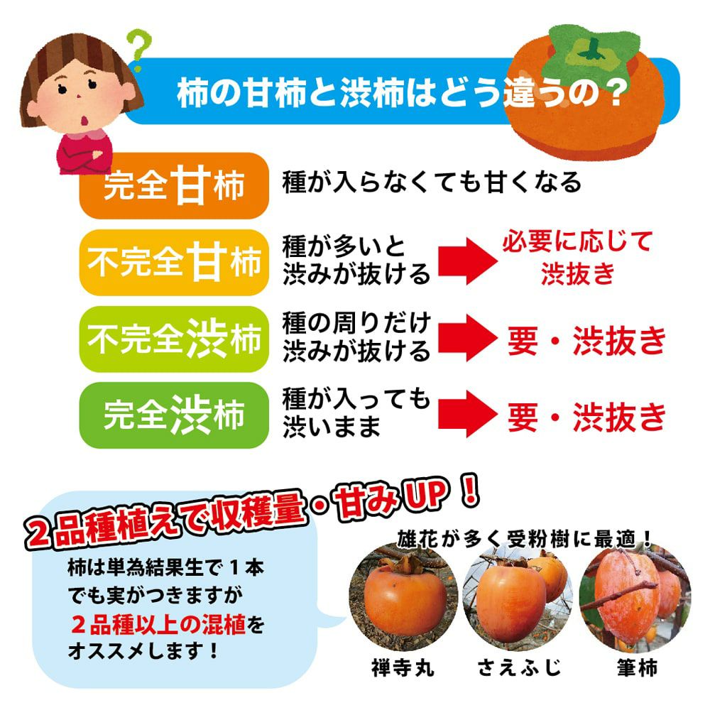 000000019037-07.jpg?size=l&w=