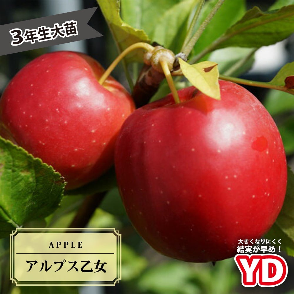 000000019052-01.jpg?size=l&w=