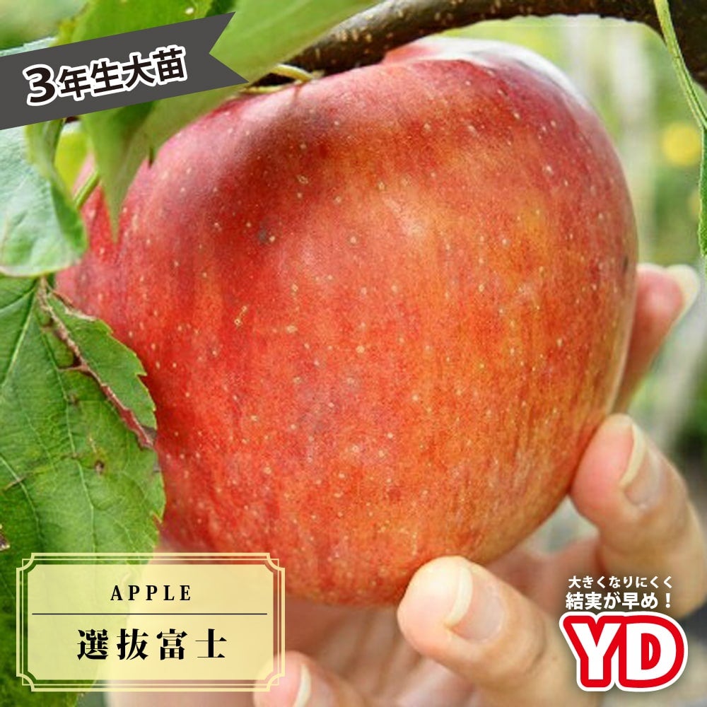 000000019053-01.jpg?size=l&w=