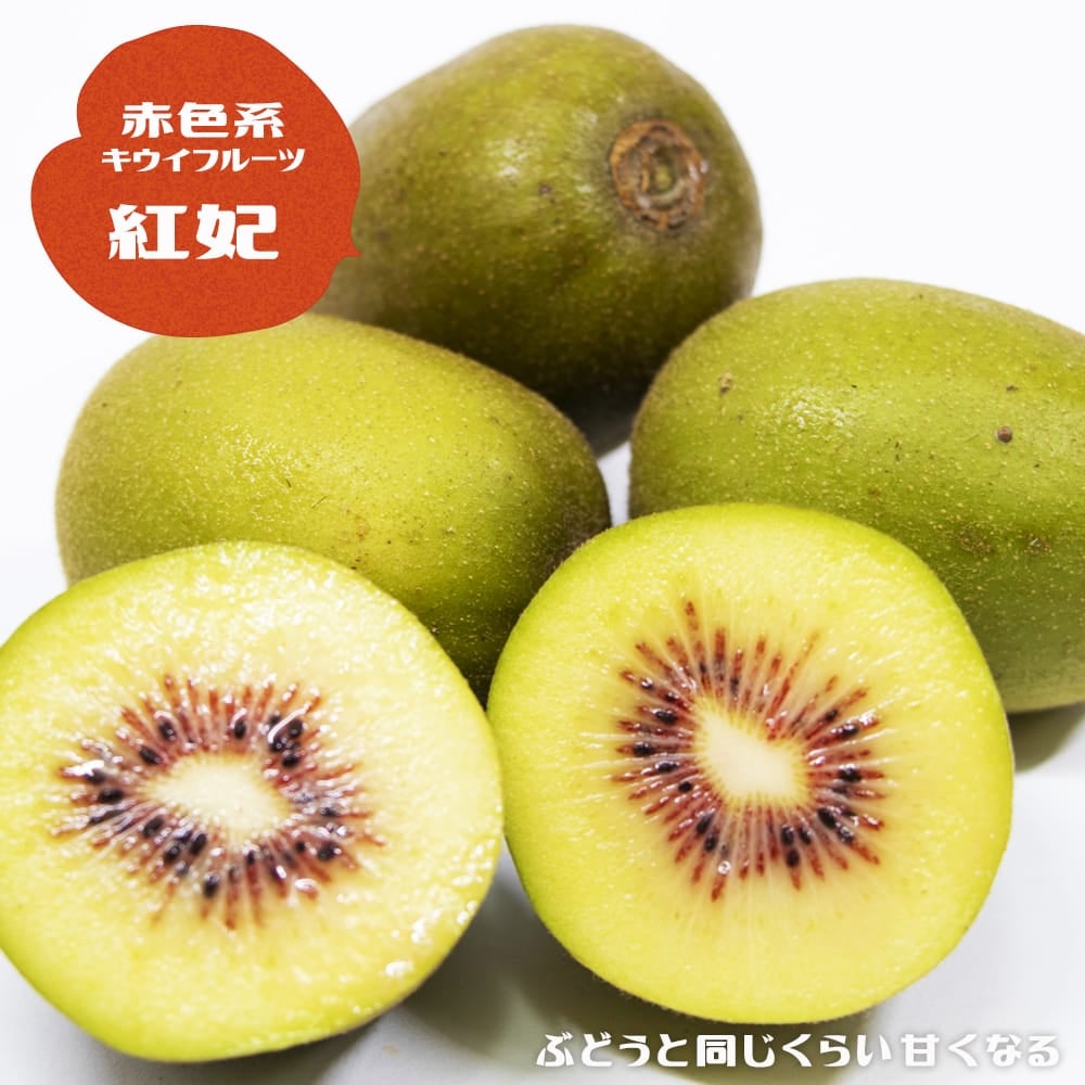 000000019057-01.jpg?size=l&w=