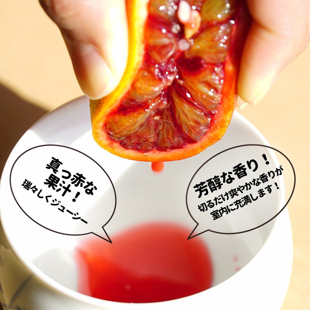 モロ ブラッドオレンジ 苗 おすすめ 苗木部 By 花ひろばオンライン