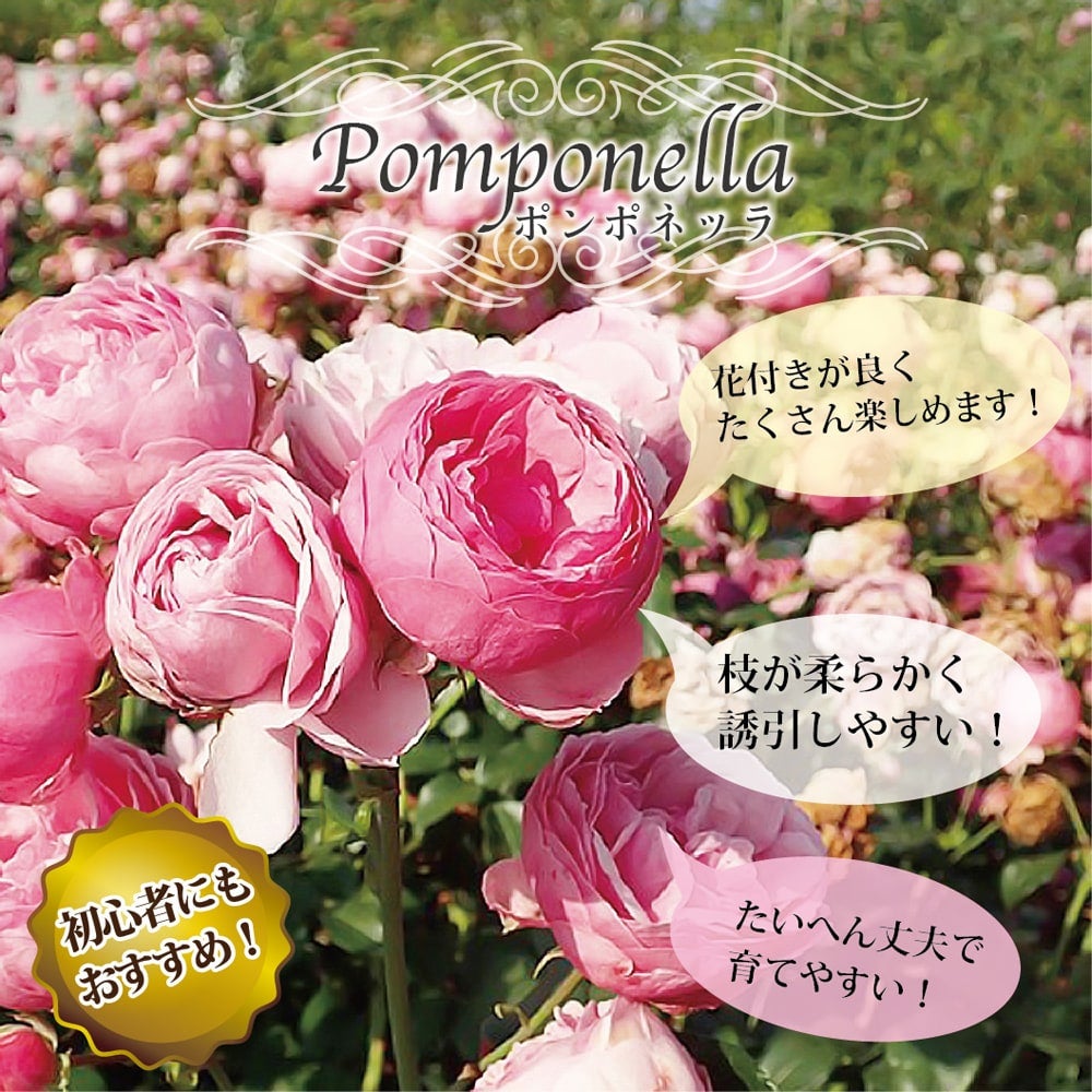 000000019190-02.jpg?size=l&w=