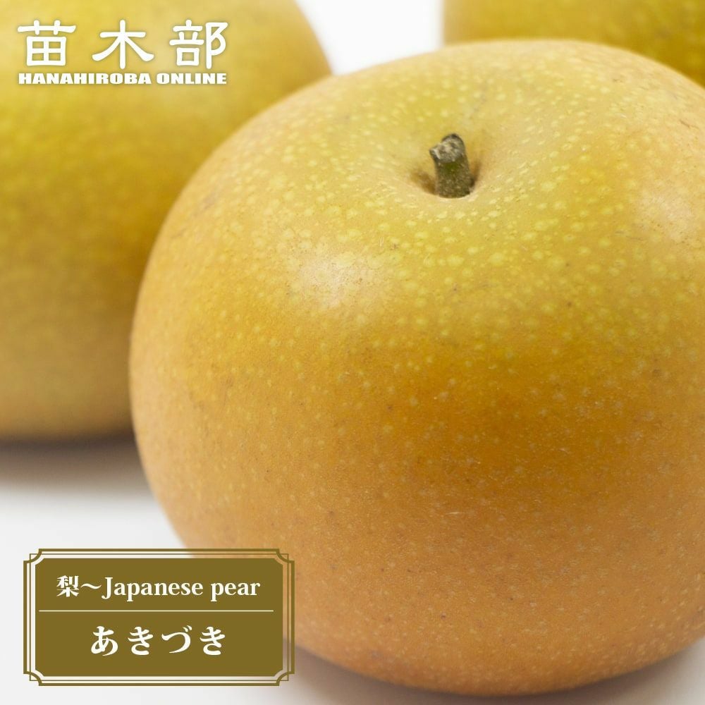 000000019314-01.jpg?size=m&w=