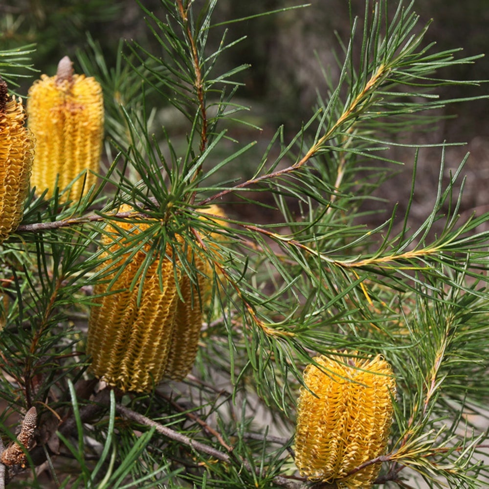 000000120322-04.jpg?size=l&w=