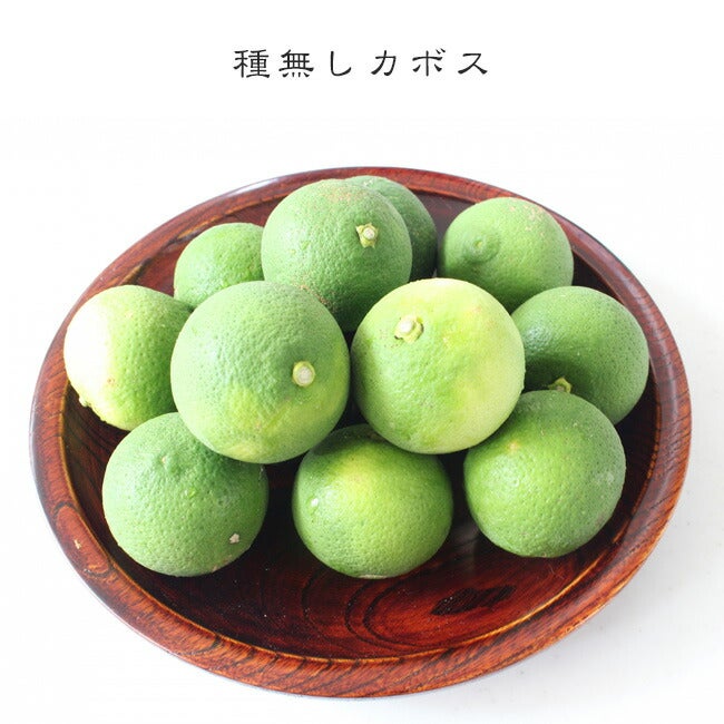 種無しカボス　鉢底から150cm 柑橘 香酸柑橘類 種無しカボス 苗 販売 苗木部 By 花ひろばオンライン