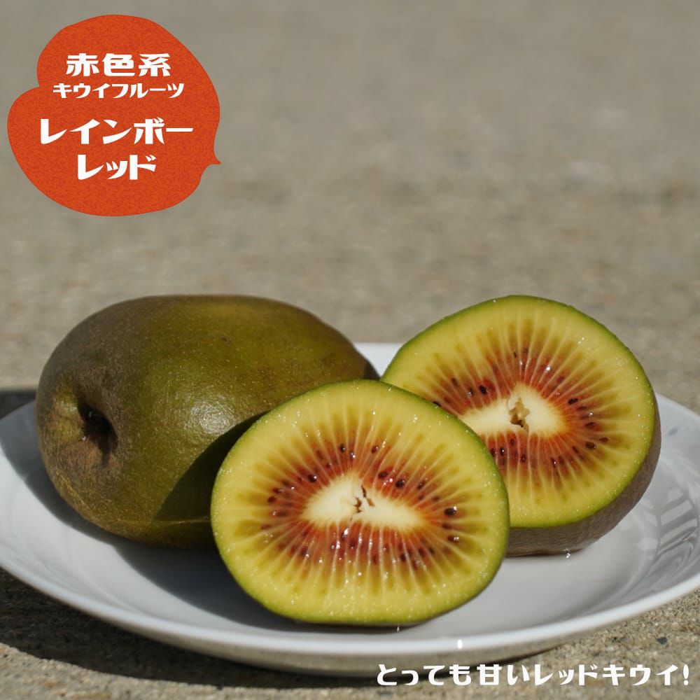 000000021256-01.jpg?size=l&w=