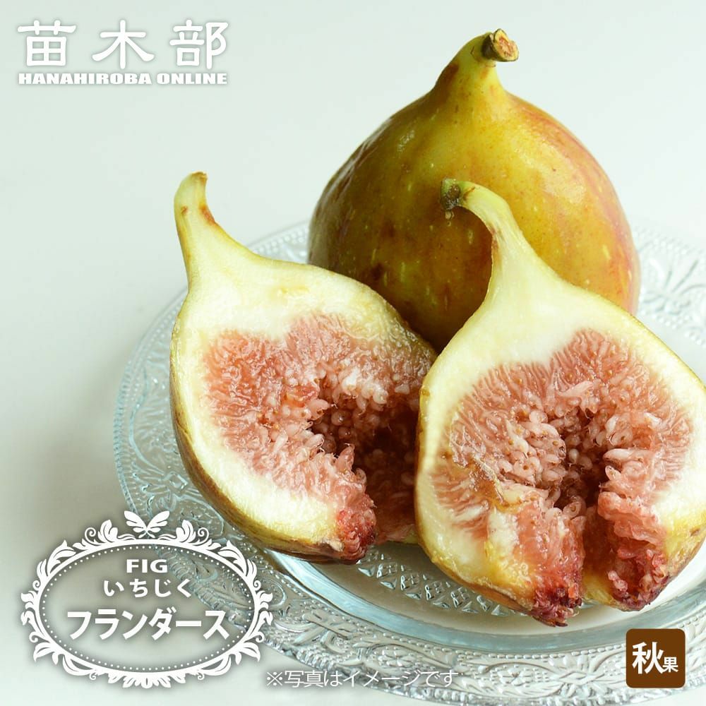 000000121213-01.jpg?size=l&w=