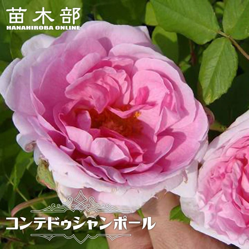 ア*ム様 バラ売り不可 3000円スタート ビルドパーツまとめて 現状品/ジャン ア*ム様 バラ売り不可 3000円スタート ビルドパーツまとめて 現状品/