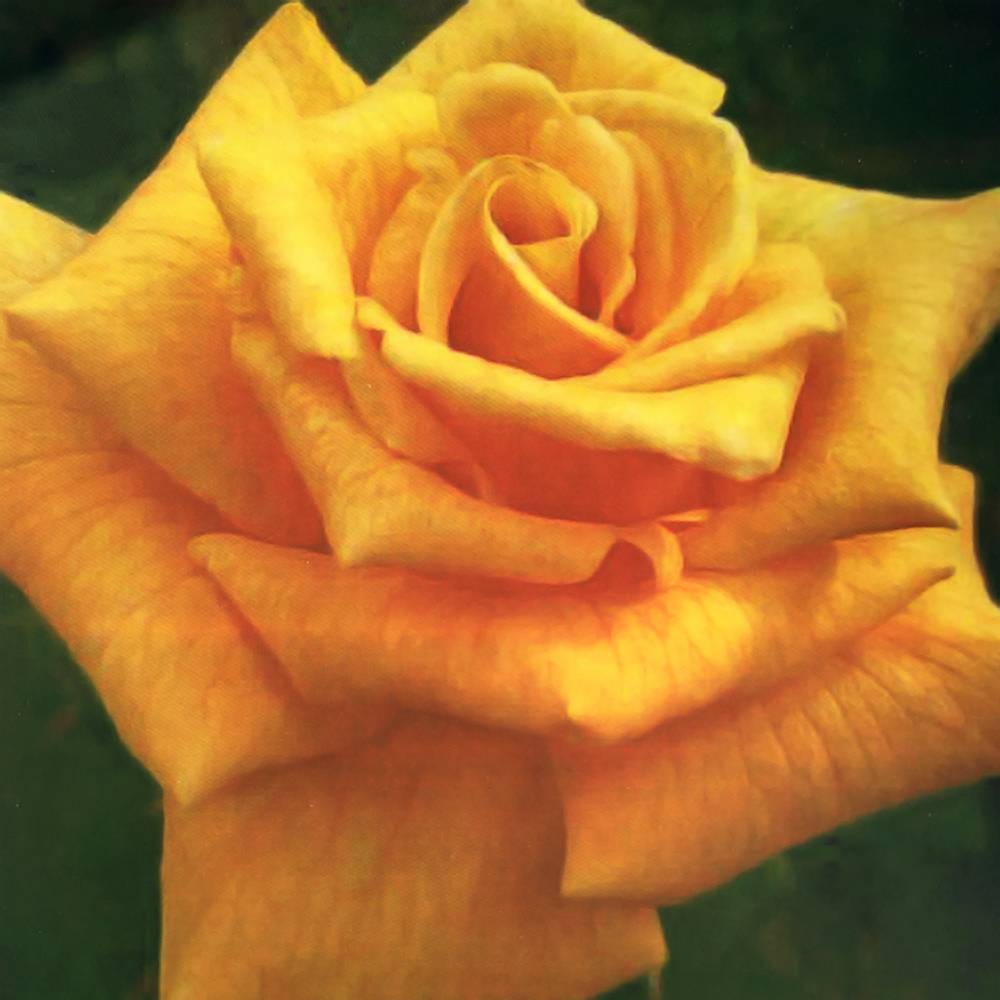 000000021418-05.jpg?size=l&w=