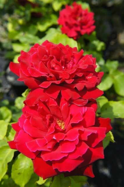 000000021425-02.jpg?size=l&w=