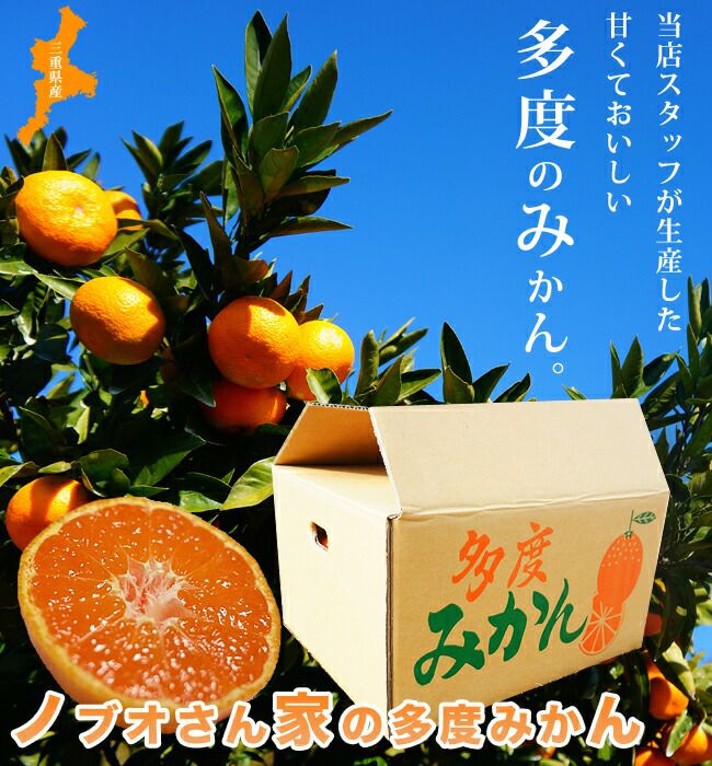 苗 苗木部 By 花ひろばオンライン