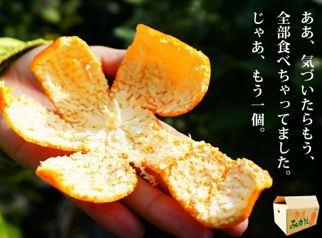 苗 苗木部 By 花ひろばオンライン