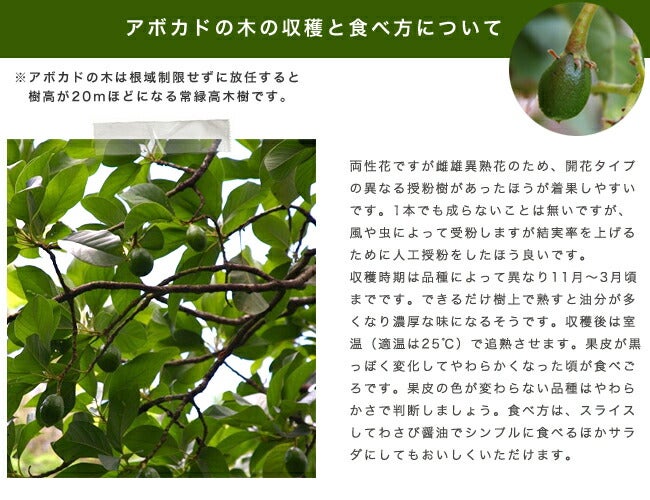 000000022645-07.jpg?size=l&w=