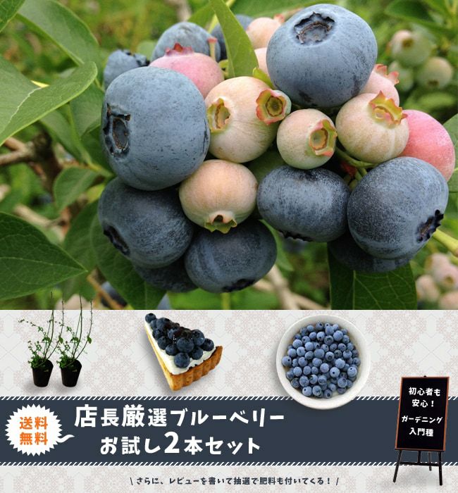 000000022714-09.jpg?size=l&w=