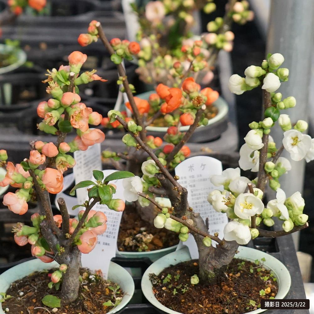 000000123031-03.jpg?size=l&w=