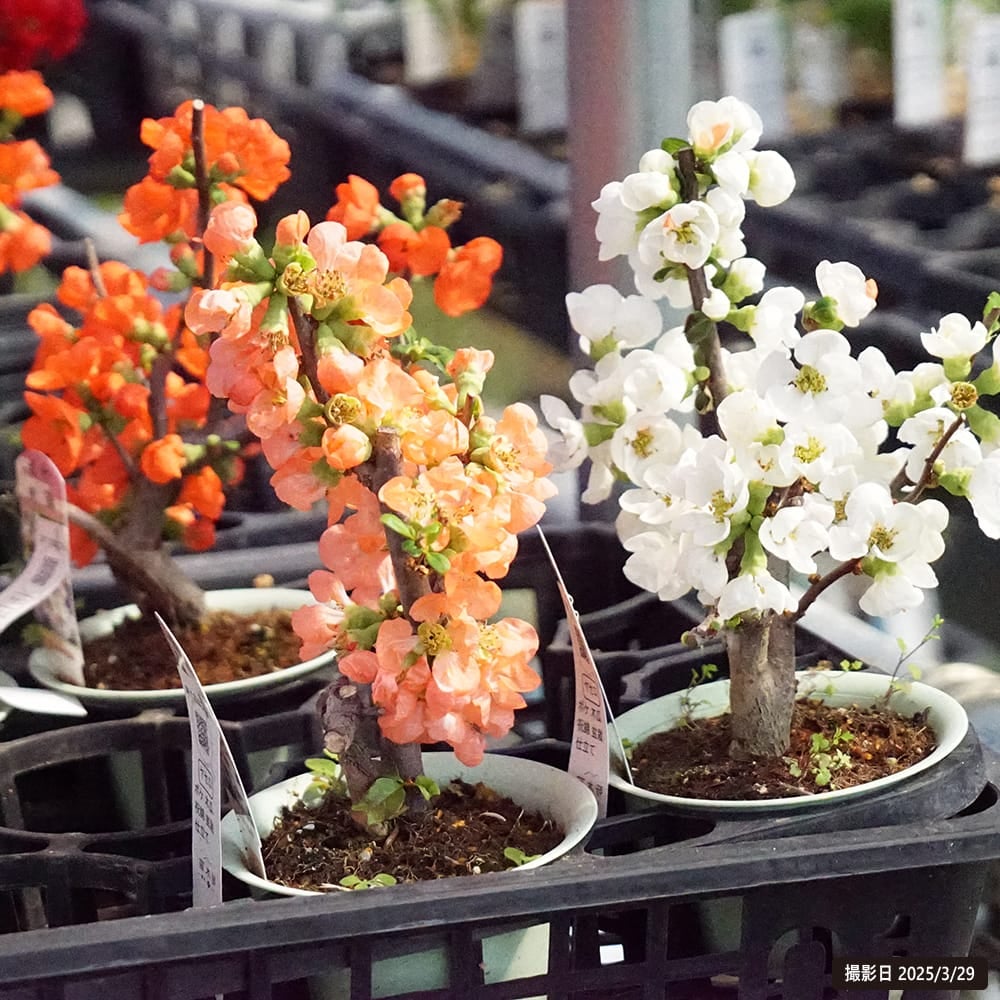 000000123031-06.jpg?size=l&w=