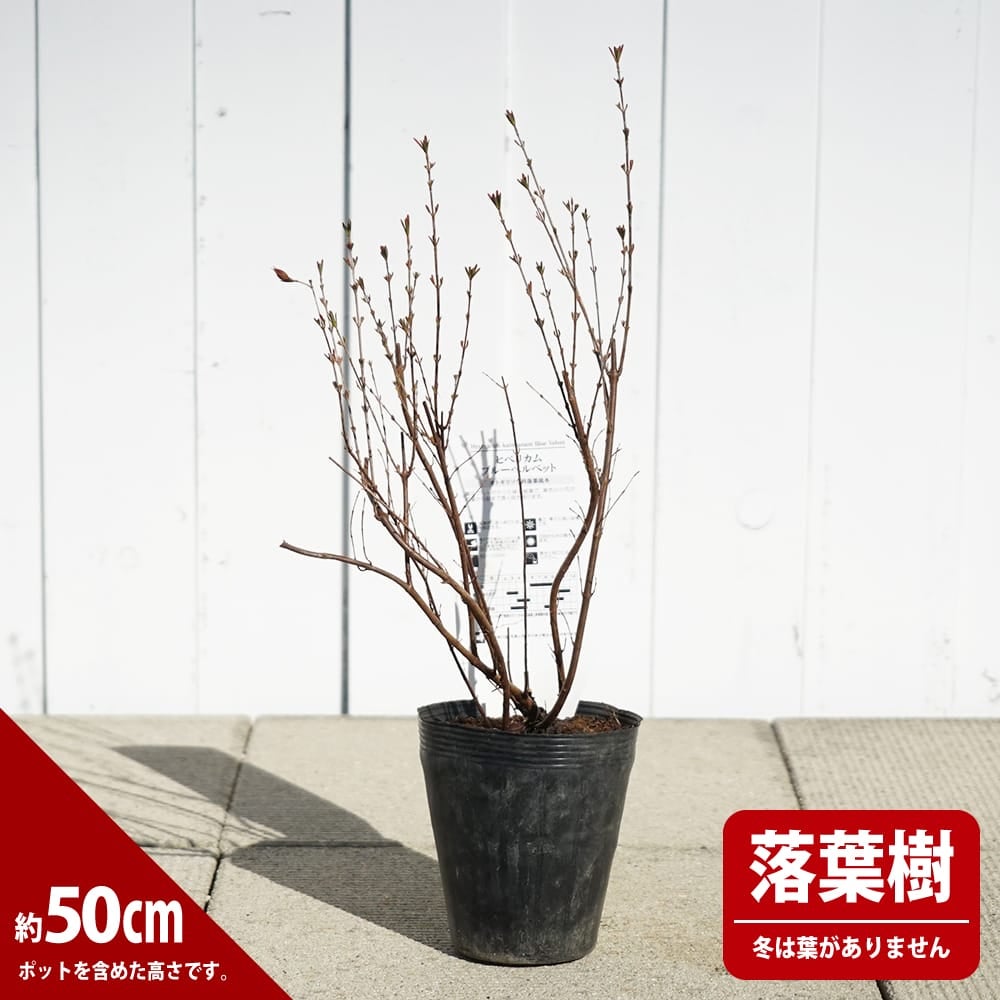 000000123104-02.jpg?size=l&w=