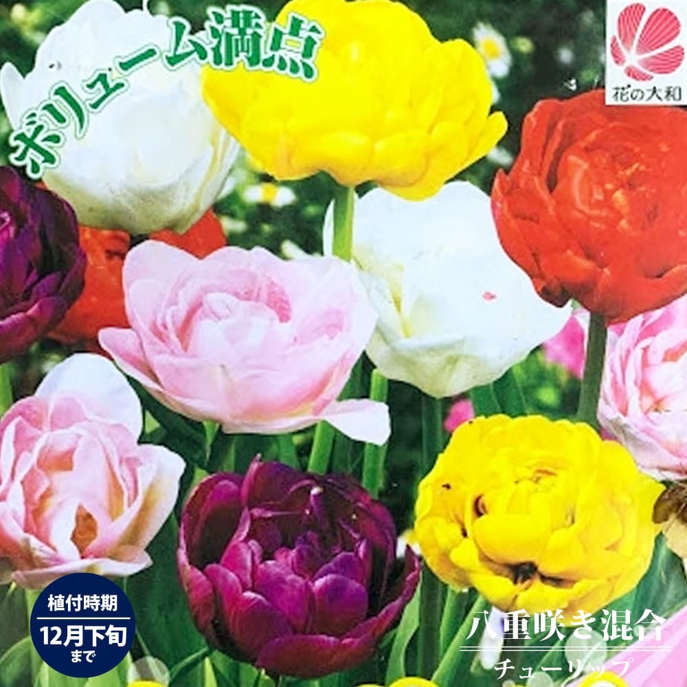 000000023750-01.jpg?size=l&w=