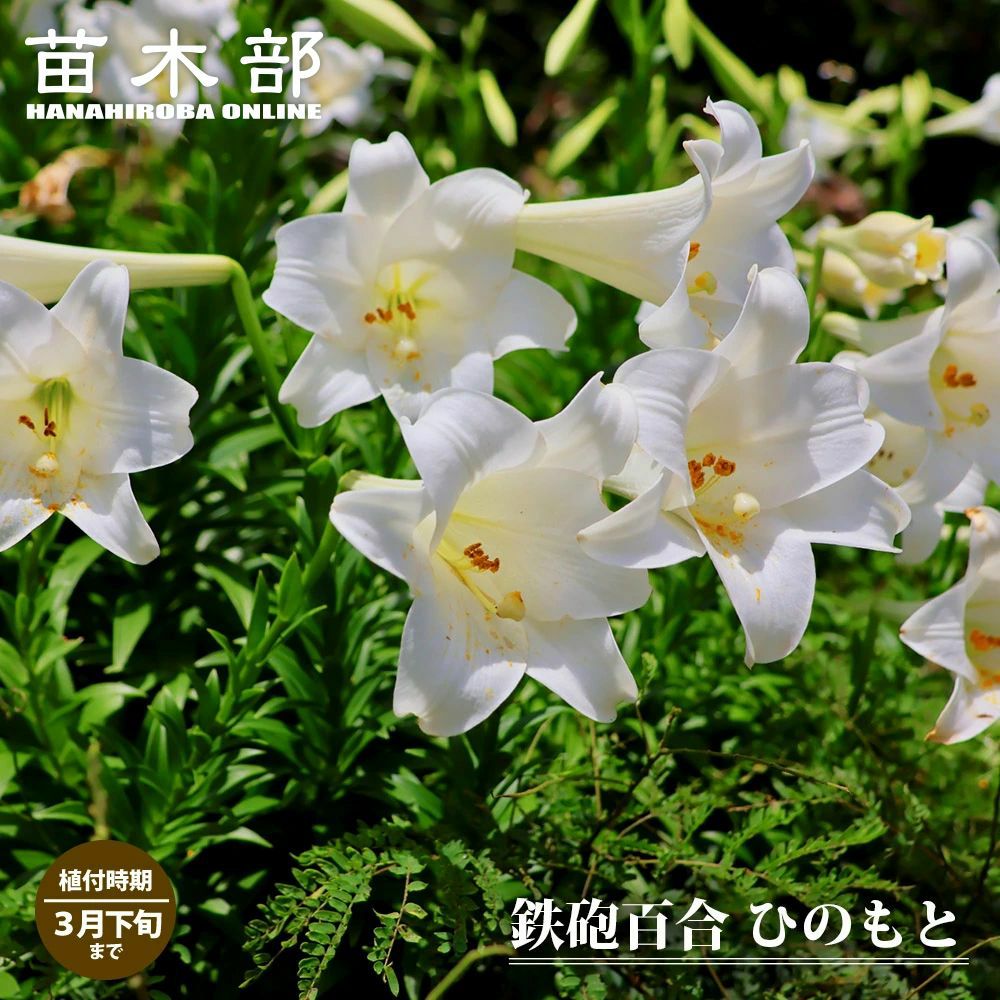 000000023758-01.jpg?size=l&w=