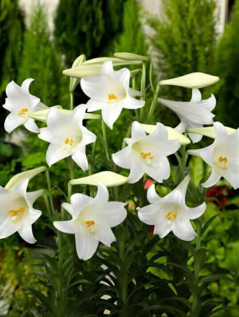 000000023758-03.jpg?size=l&w=