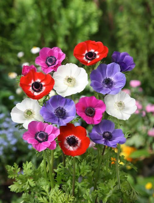 000000023778-01.jpg?size=l&w=