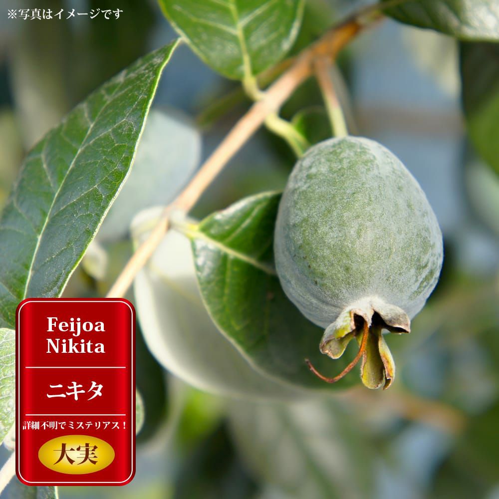 000000123726-01.jpg?size=l&w=