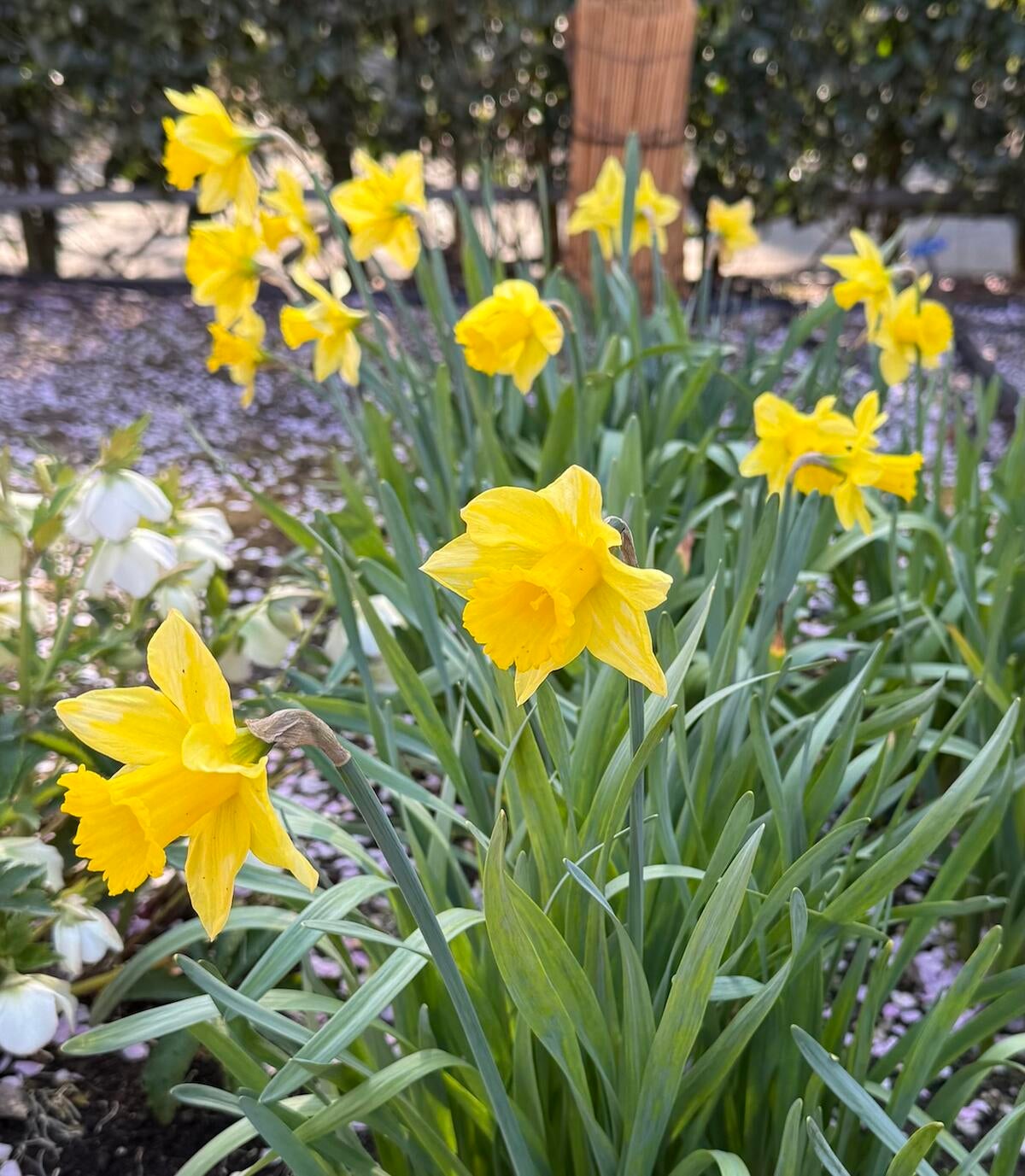 000000023887-01.jpg?size=l&w=